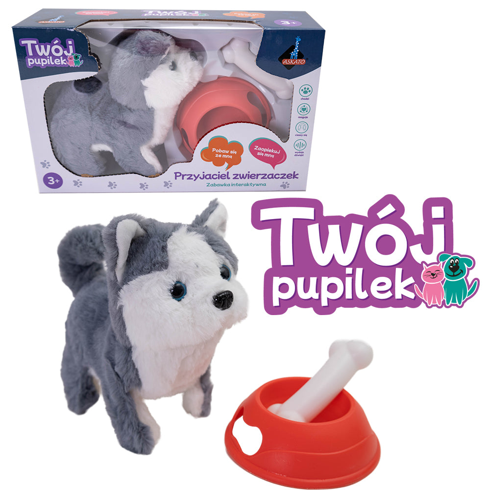Twój pupilek piesek interaktywny Husky z akcesoriami