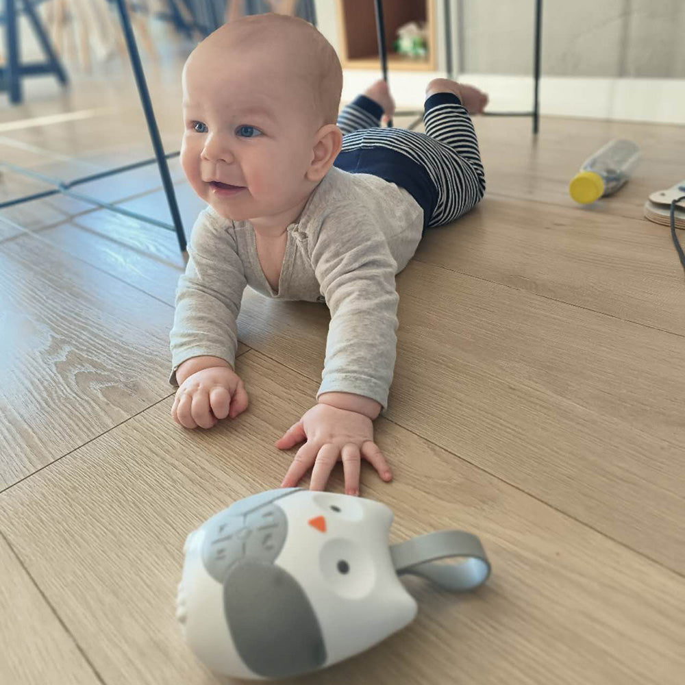 Interaktywna pozytywka - Sowa