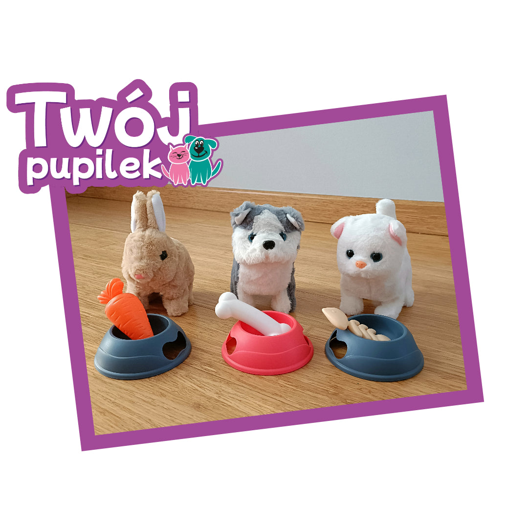 Twój pupilek króliczek interaktywny z akcesoriami