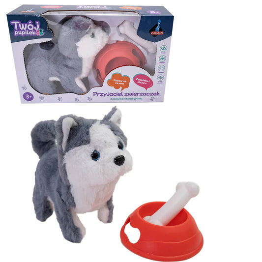 Twój pupilek piesek interaktywny Husky z akcesoriami