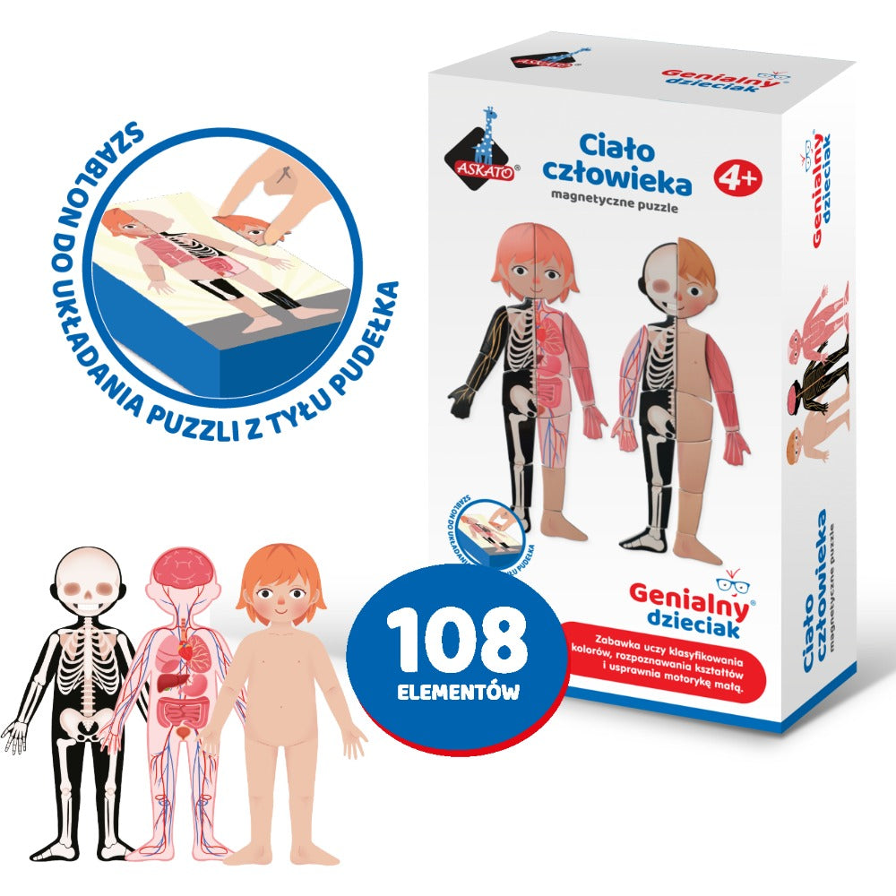 Magnetyczne puzzle - Ciało Człowieka