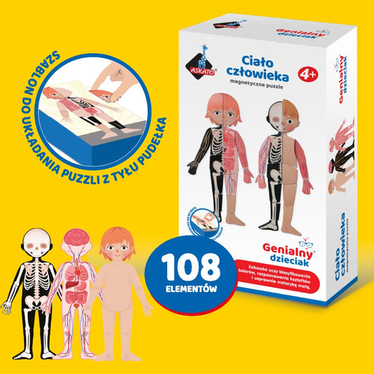 Magnetyczne puzzle - Ciało Człowieka