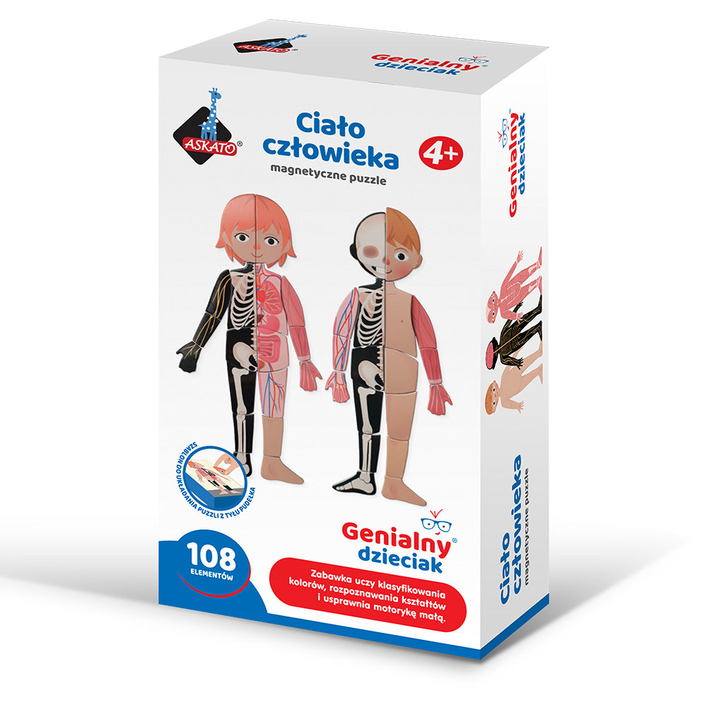 Magnetyczne puzzle - Ciało Człowieka