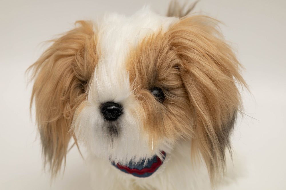 Interaktywny chodzący pies Shih-Tzu