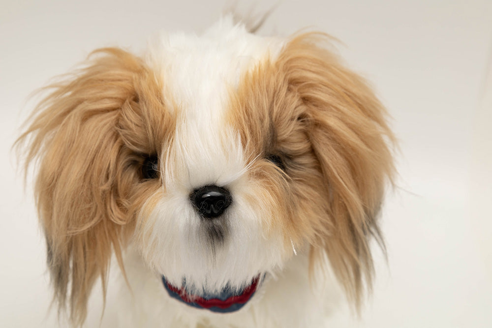 Interaktywny chodzący pies Shih-Tzu